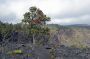 10VolcanoNP - 73 * Chain of Craters Road